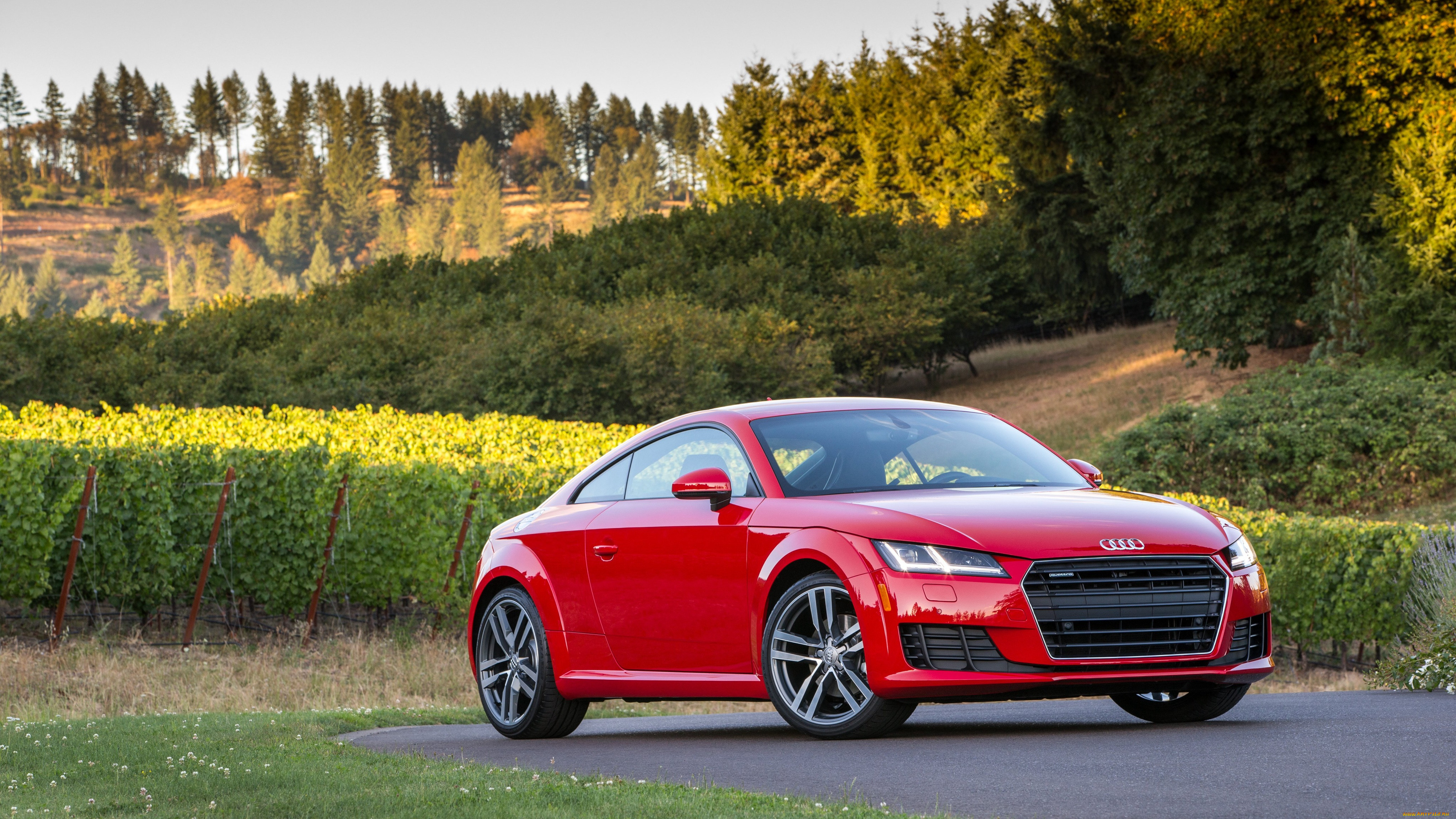 , audi, 2016, coup, 2-0, tt, 8s, , us-spec, quattro, tfsi